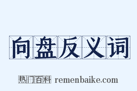 向盘反义词是什么意思的图片